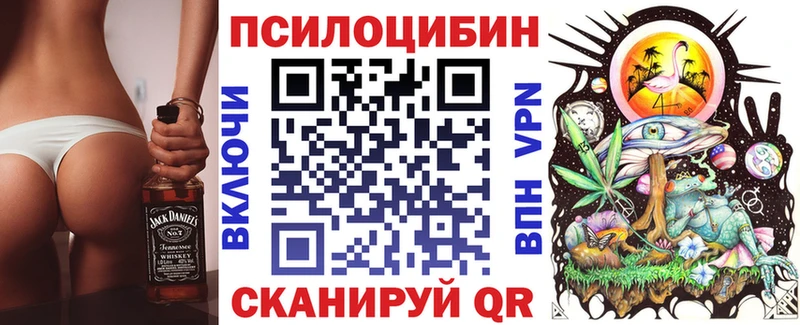 магазин продажи   KRAKEN маркетплейс  Псилоцибиновые грибы Cubensis  Дербент 