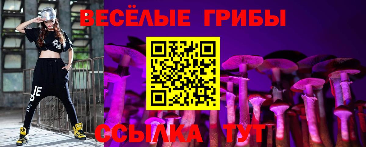 Псилоцибиновые грибы Magic Shrooms Дербент