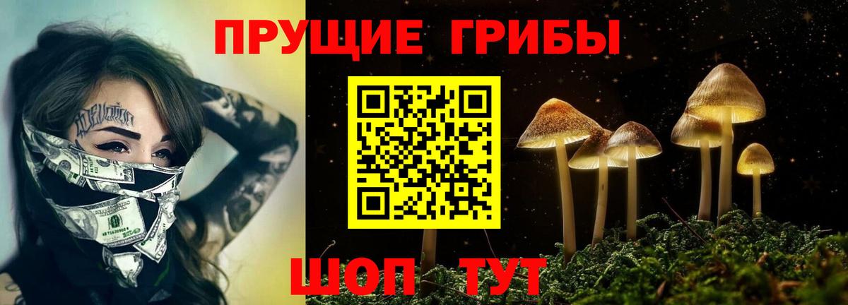 Дербент  Галлюциногенные грибы GOLDEN TEACHER  Вход с VPN 
