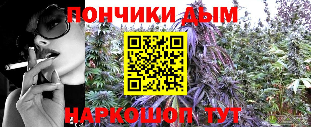 Конопля сатива Дербент